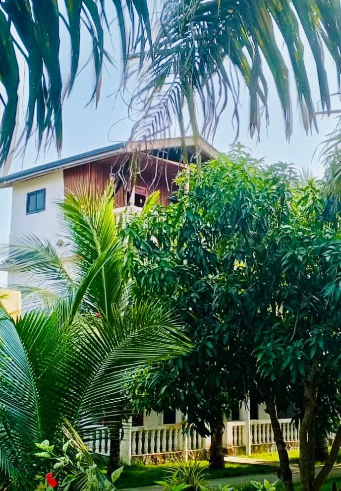 Busua Serenity Haven Lodge מראה חיצוני תמונה